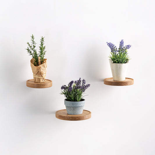 hanging plant shelf