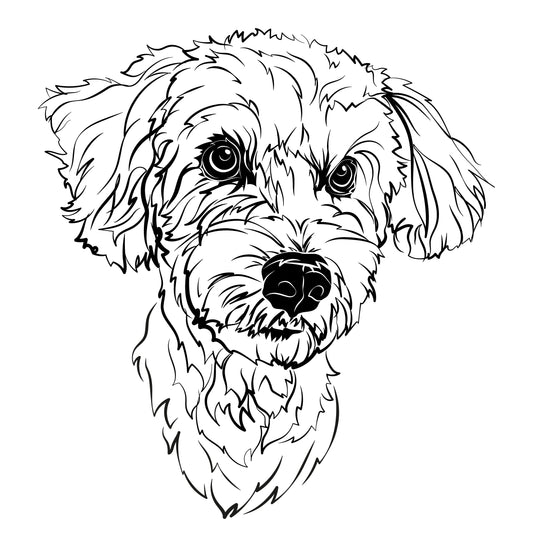 drawing animals in vector format