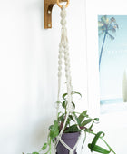 air plant holder