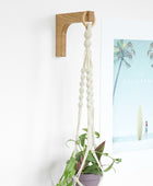 hanging plant holder
