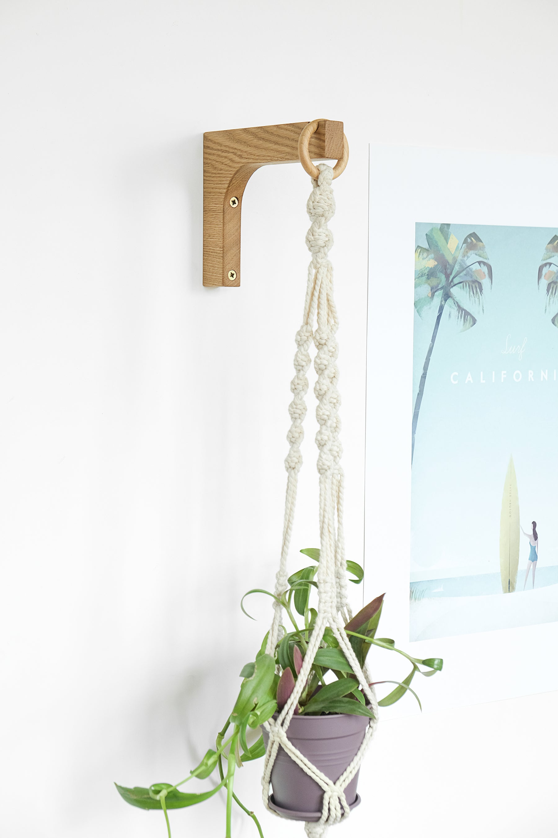 hanging plant holder