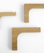 wall plant holder