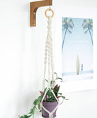 indoor plant hanger