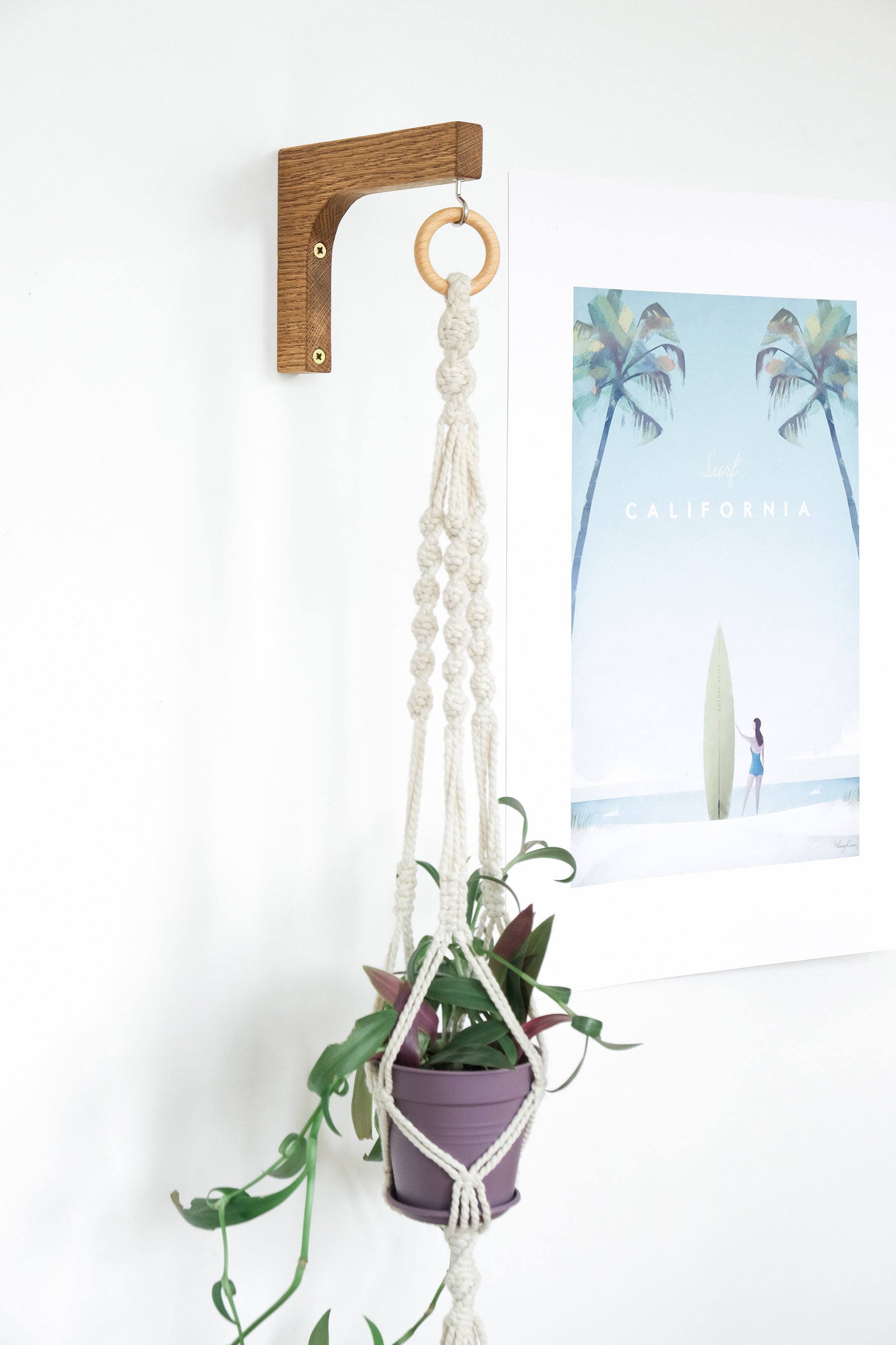 indoor plant hanger