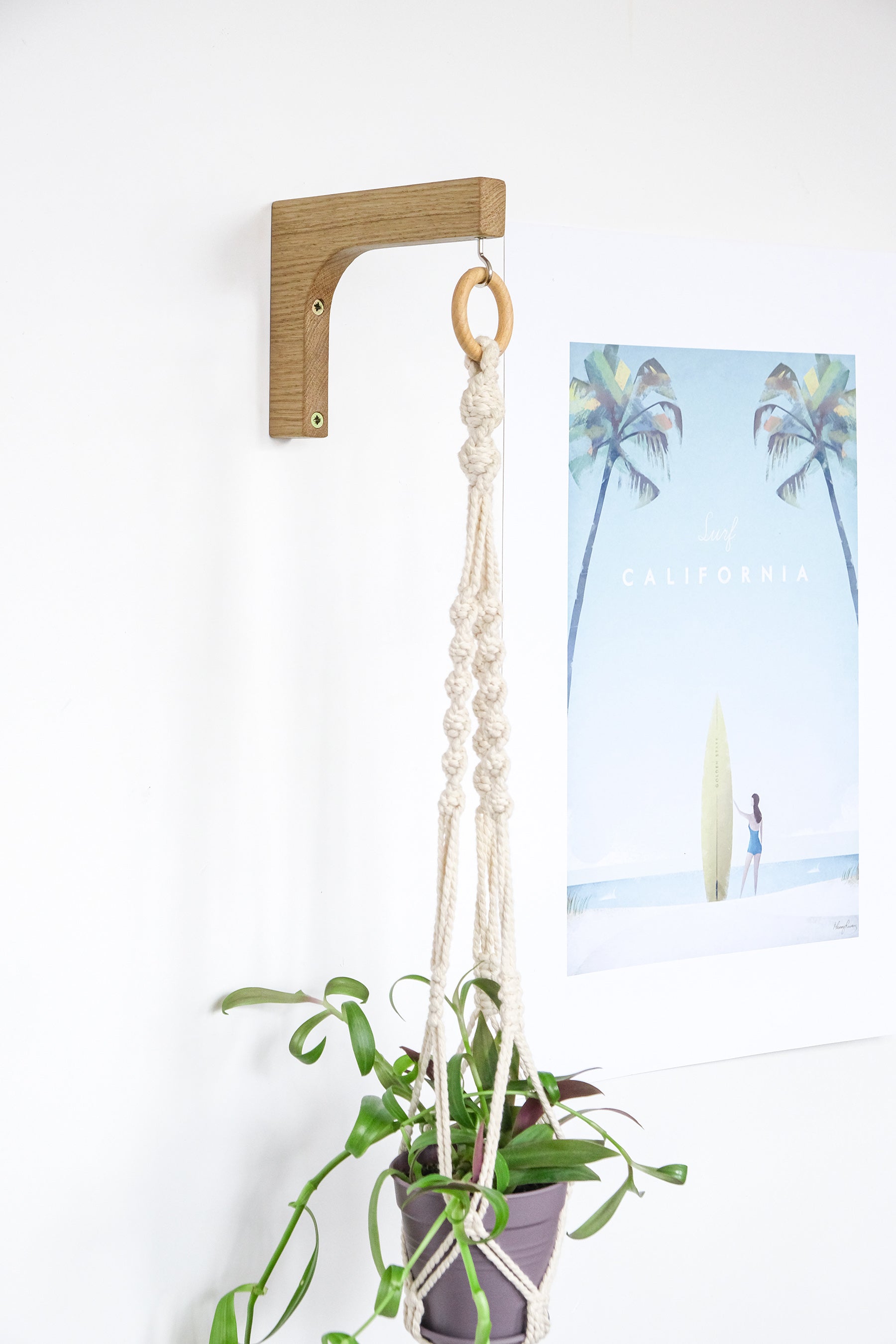 macrame plant hanger