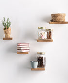 wall plant holder