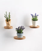 hanging plant shelf