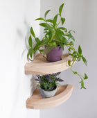 hanging plant shelf