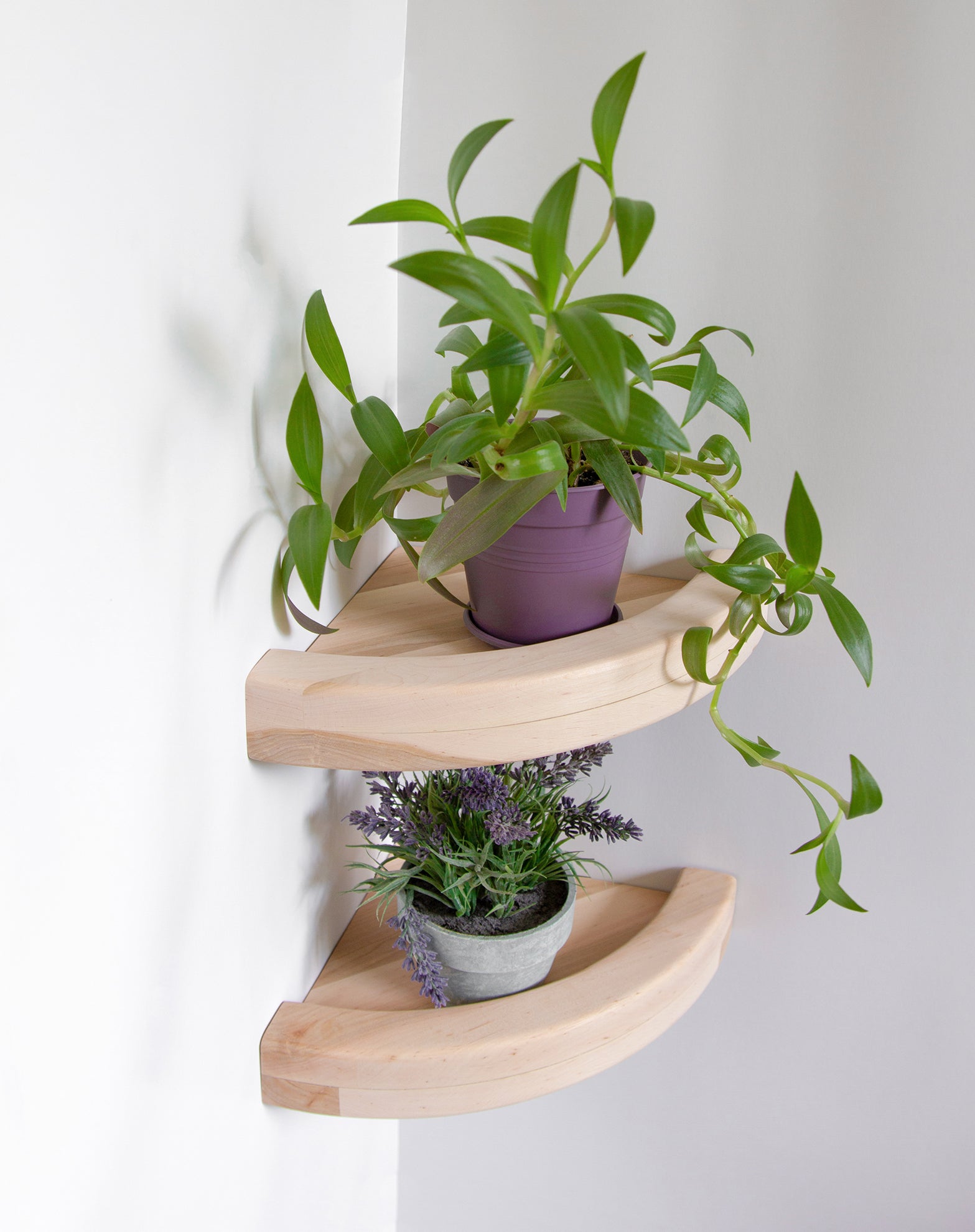 hanging plant shelf