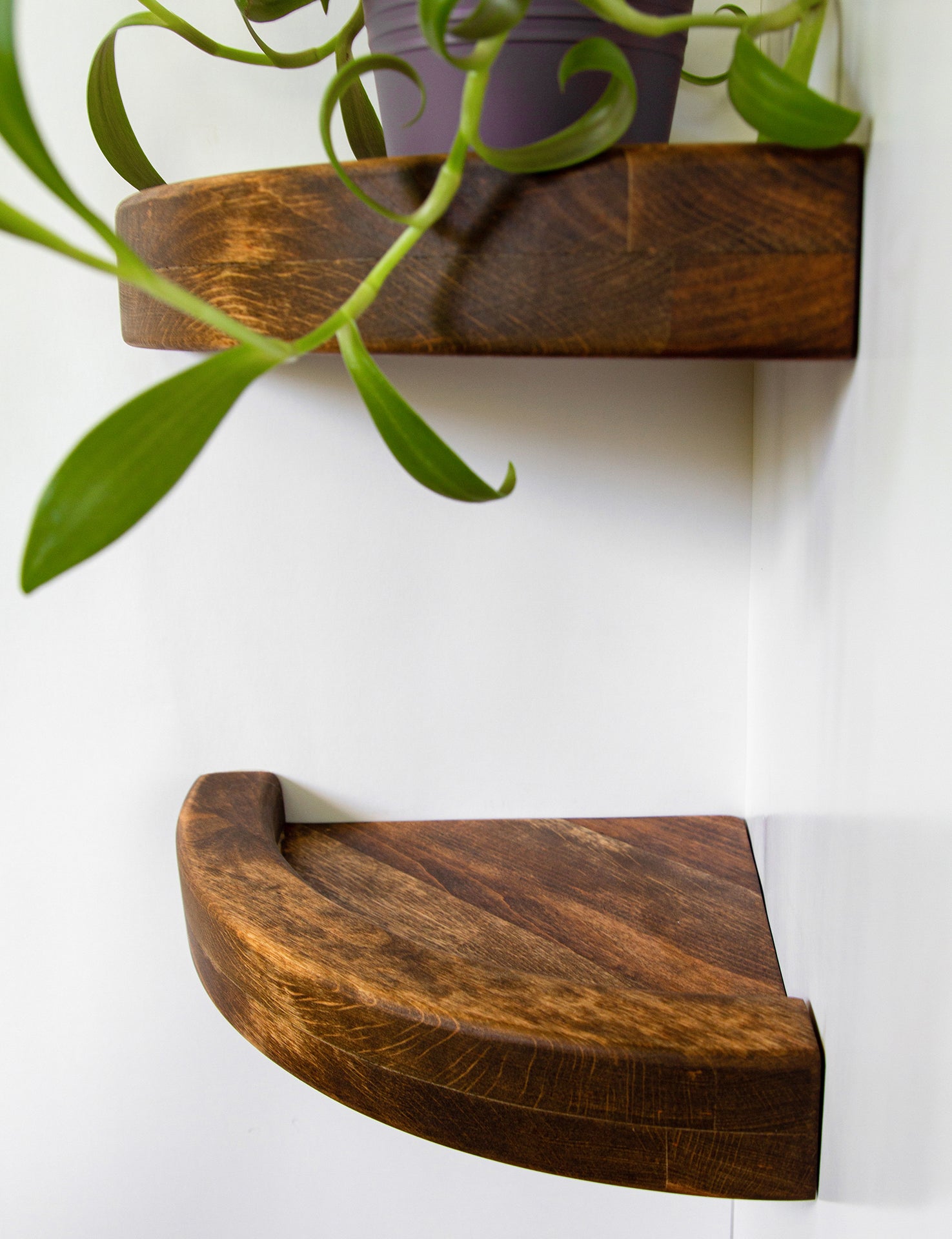 dark shelf