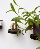 hanging planter