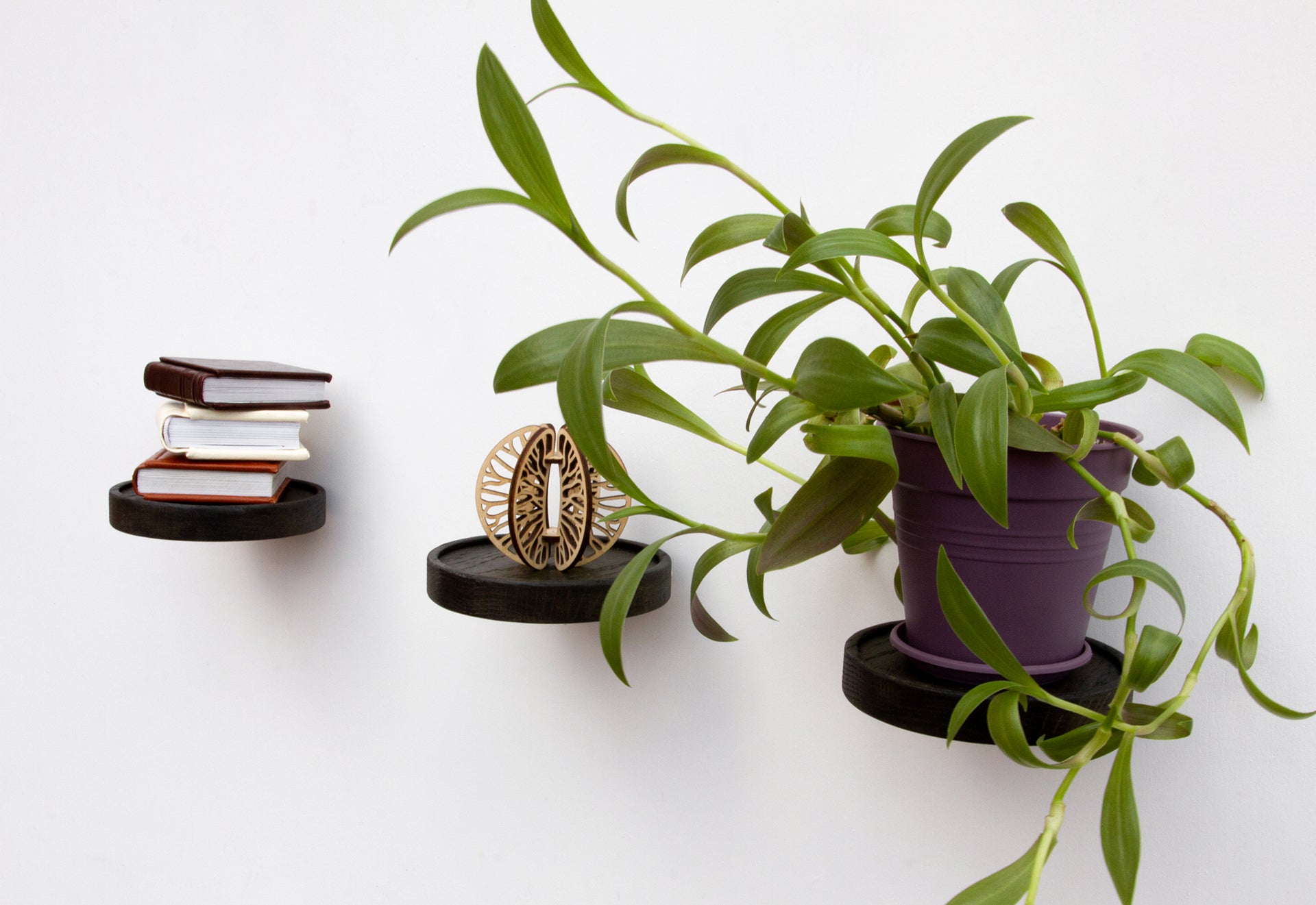 hanging planter